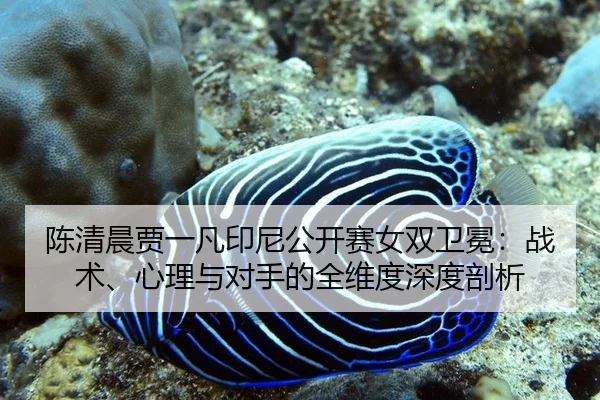 chen-qing-chen-jia-yi-fan-yin-ni-gong-kai-sai-nv-shuang-wei-mian-zhan-shu-xin-li-yu-dui-shou-de-quan-wei-du-shen-du-pou-3-679.jpg