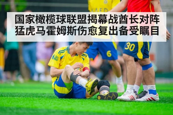 国家橄榄球联盟揭幕战酋长对阵猛虎马霍姆斯伤愈复出备受瞩目